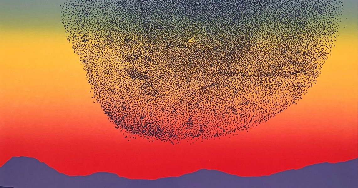 Murmurations Kopie
