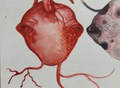 serce i ryba 10 x 15 cm akwarela na papierze 2013 Kopie