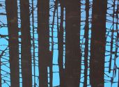 trees0212143114 53x40cm