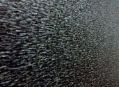 Nordsee Ultramarinenblau 2