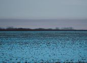 Winter landscape V 1 Kopie