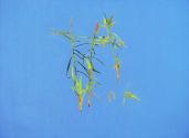 reeds2809134210 60x81cm