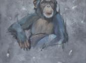 bonobo 60x70cm Kopie